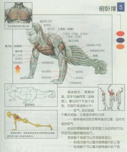 健身周训练计划表_健身训练于休息周_健身休息周休息月