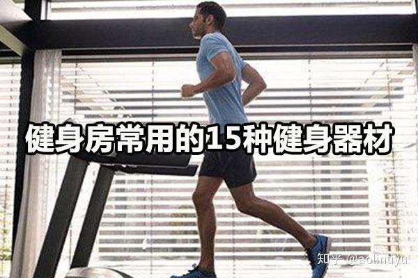 麻将胡了2 健身房常用的15种健身器材